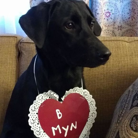 Meet your Posher, Paula - Picture 1 of 1